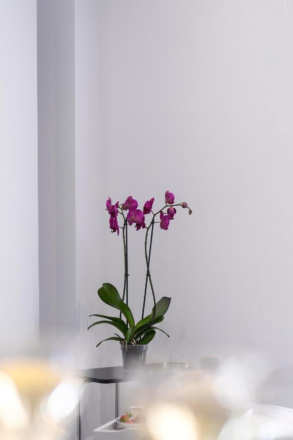 Apartment Adell Deluxe